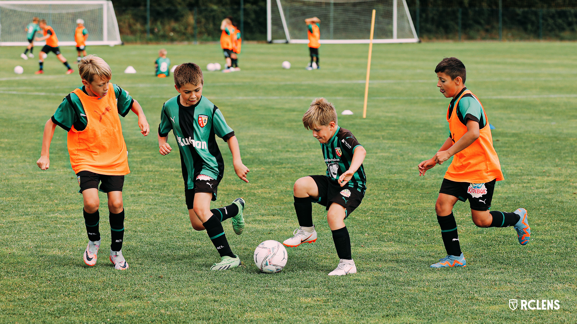 Participez aux Stages Sang et Or de Févriers